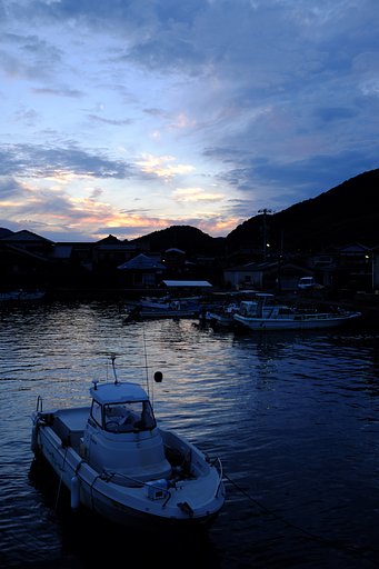 海