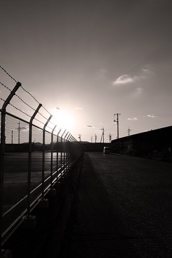 12月10日の写真