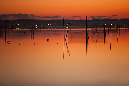 静かな静かな夜明け