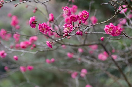 12月30日の写真