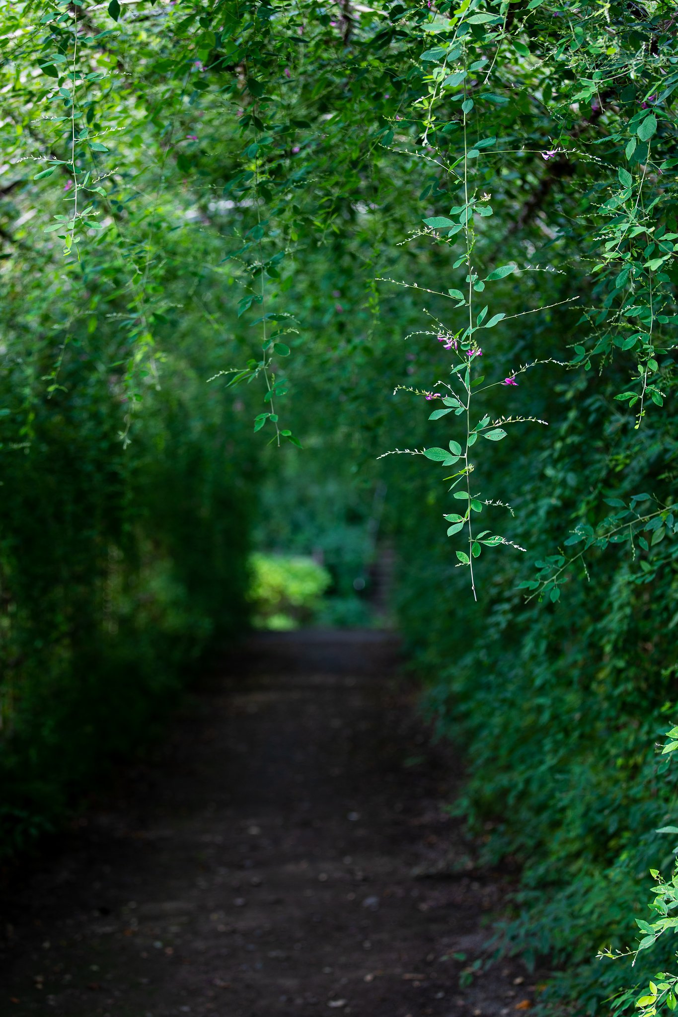EF70-200mm F4 L IS