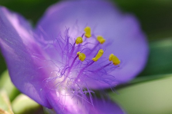 夏の終わりの贈り物？