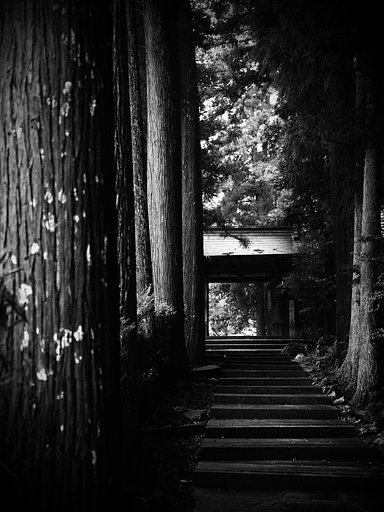 参道