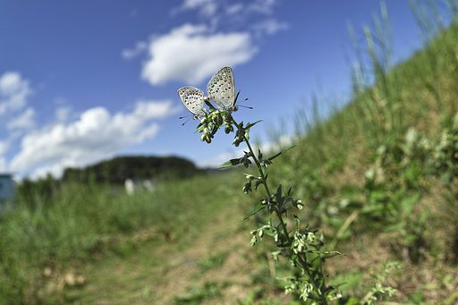 【元気】に生きて、レッドリストランクから抜け出そう、、。