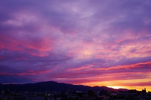 9月9日の写真