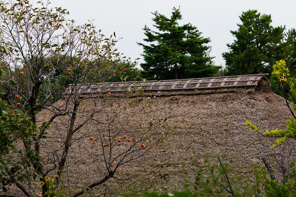 EF70-200mm F4 L IS