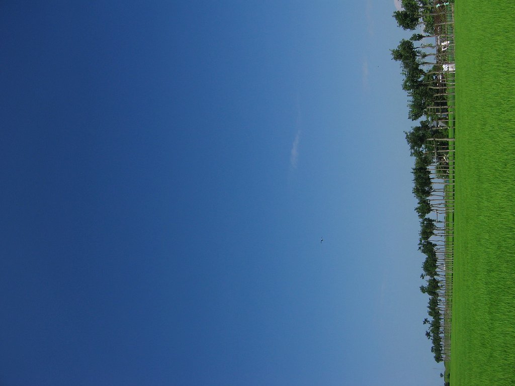 雲待ち