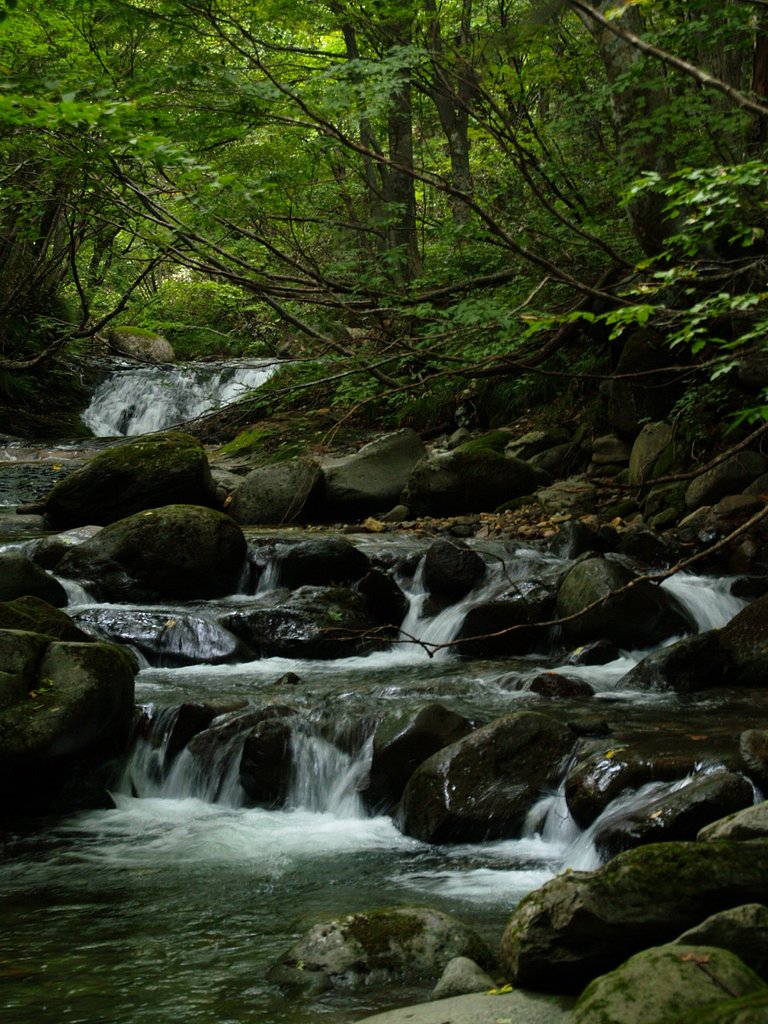 秘密の場所