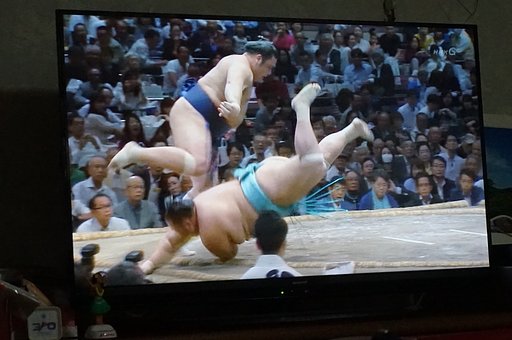 【元気】な相撲・