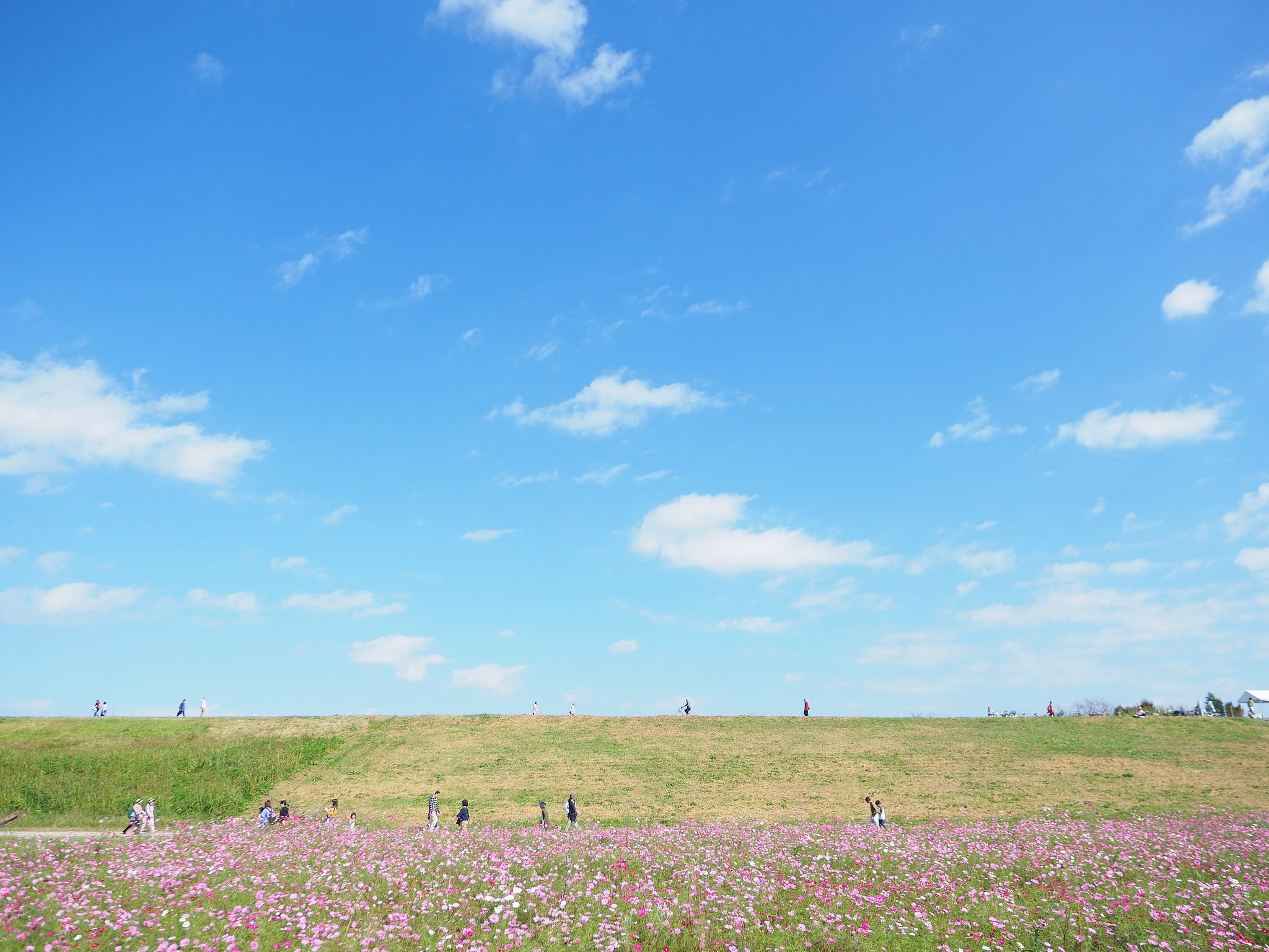 風が季節を連れてくる