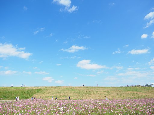 風が季節を連れてくる