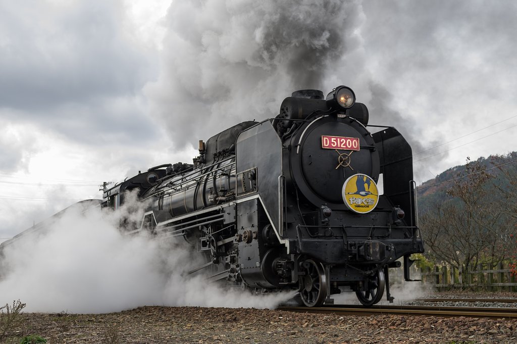 D51