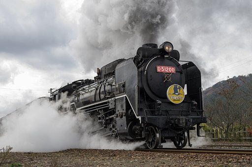 D51