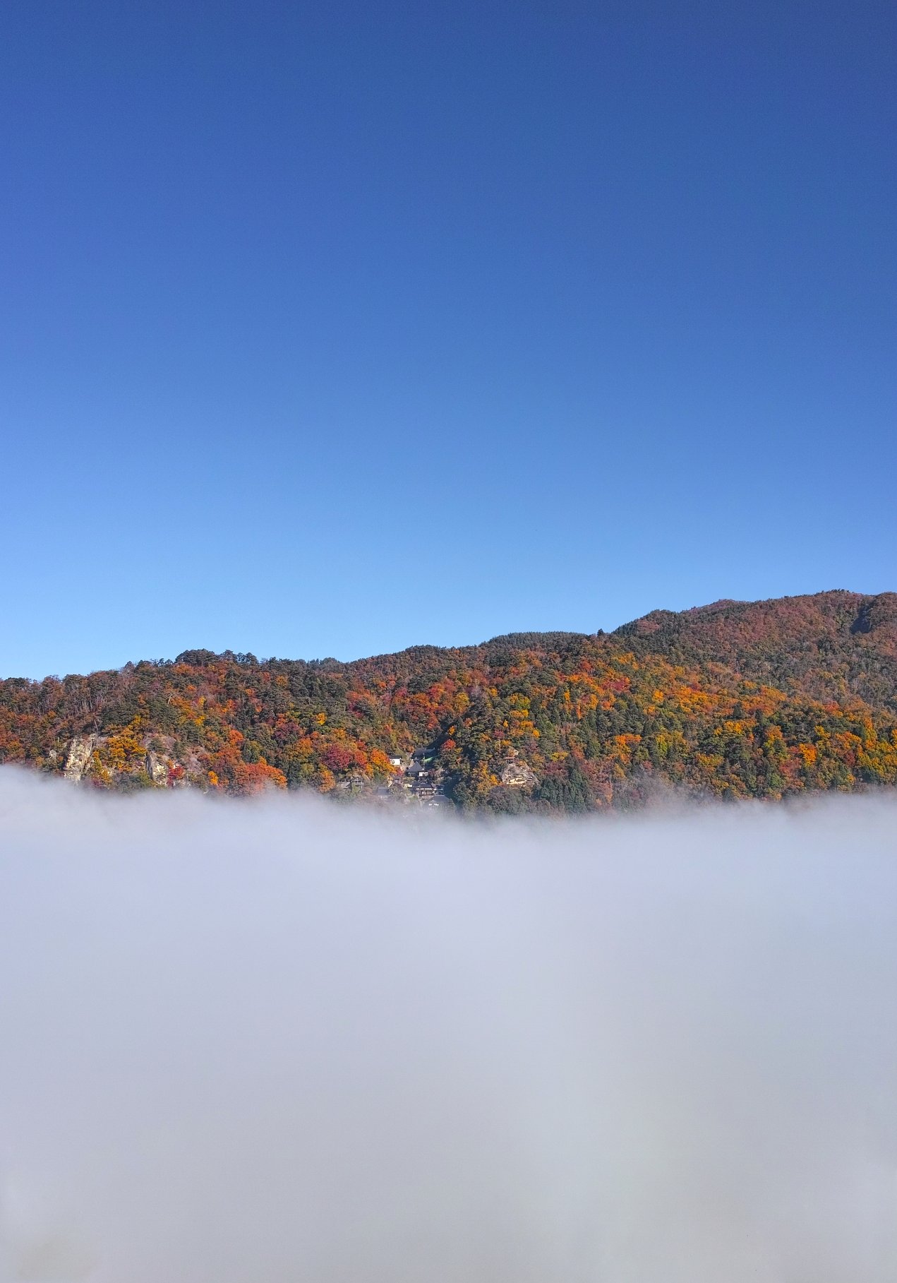山寺立石寺