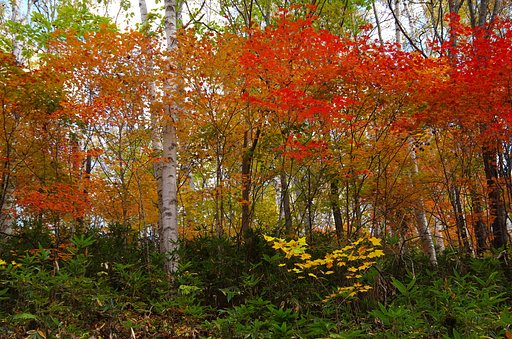 横一列