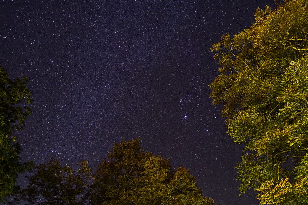 圧巻の星空