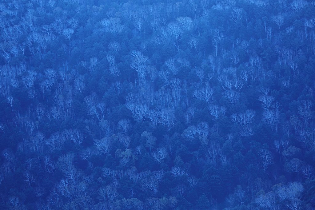 blue requiem