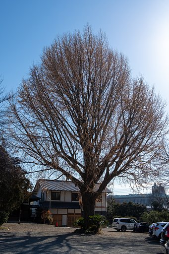 FUJINON XF23mm F2 R WR