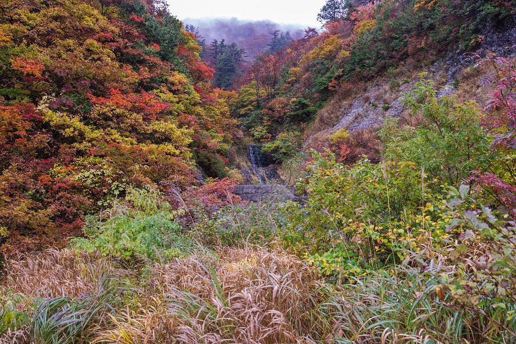 雨の「白山白川郷ホワイトロード」