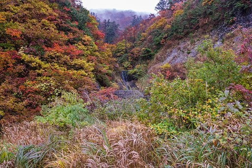 雨の「白山白川郷ホワイトロード」