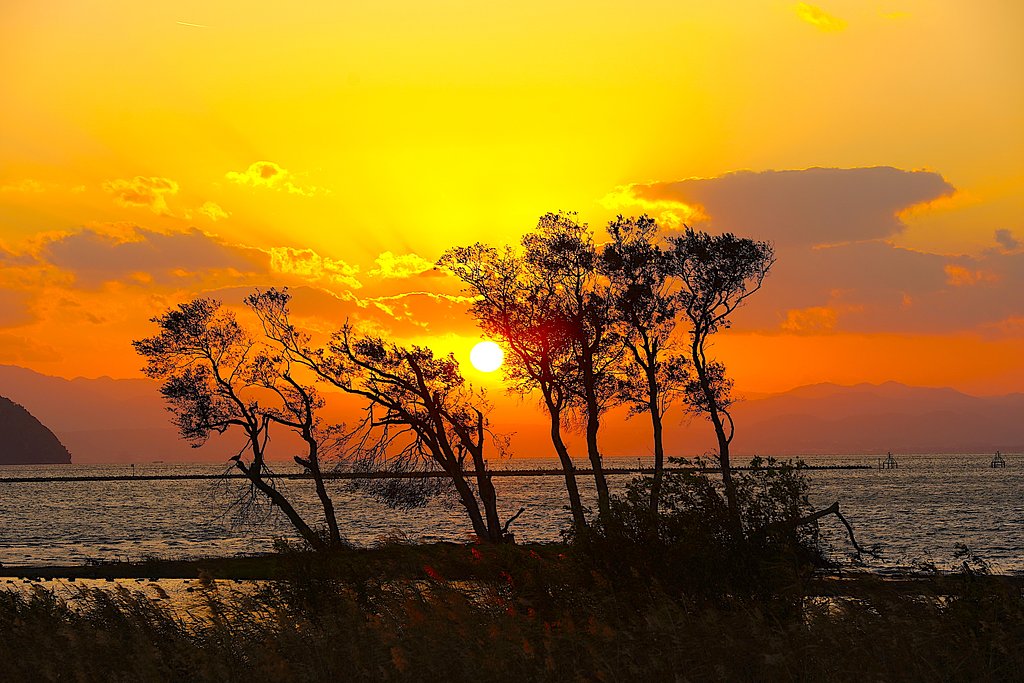 夕陽