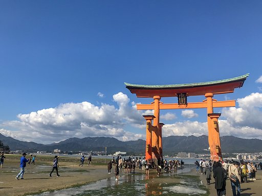 赤い鳥居  下まで行けた！