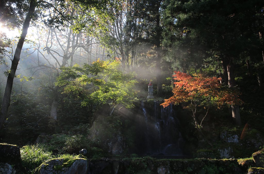 旅館の庭