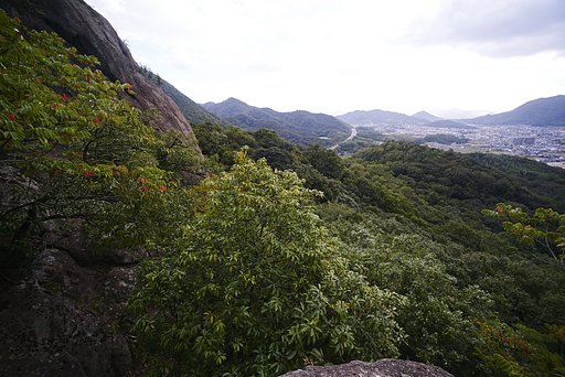 伽藍山
