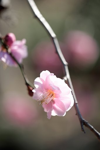 2月5日の写真