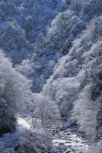 2月1日の写真