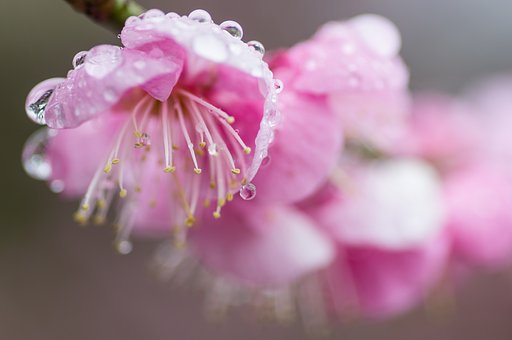 春雨を纏いて