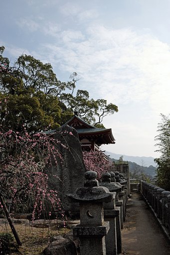 天神様