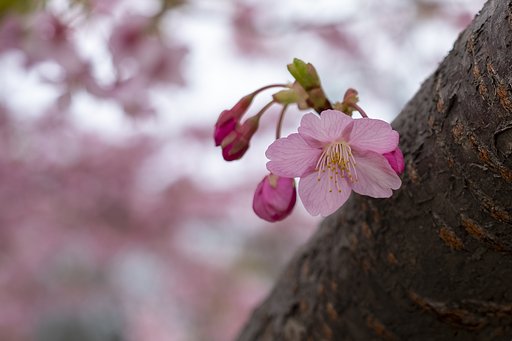 FUJINON XF35mmF1.4 R