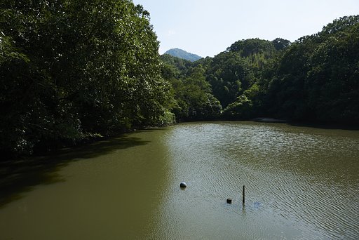 暑かった夏も終わりに・・