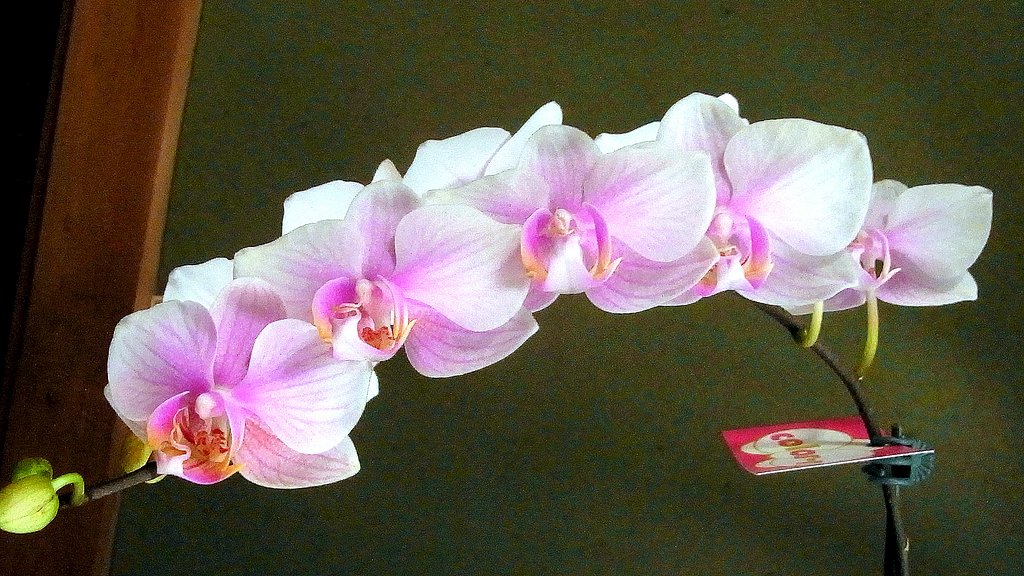 病院で