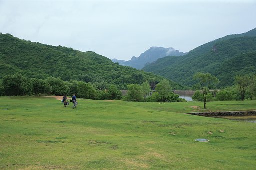 5月17日の写真