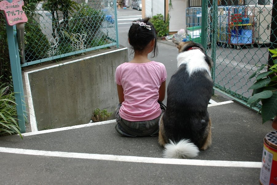 久しぶりです