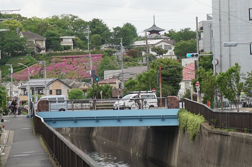 呑川