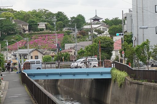 呑川