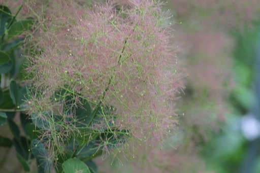 5月29日の写真