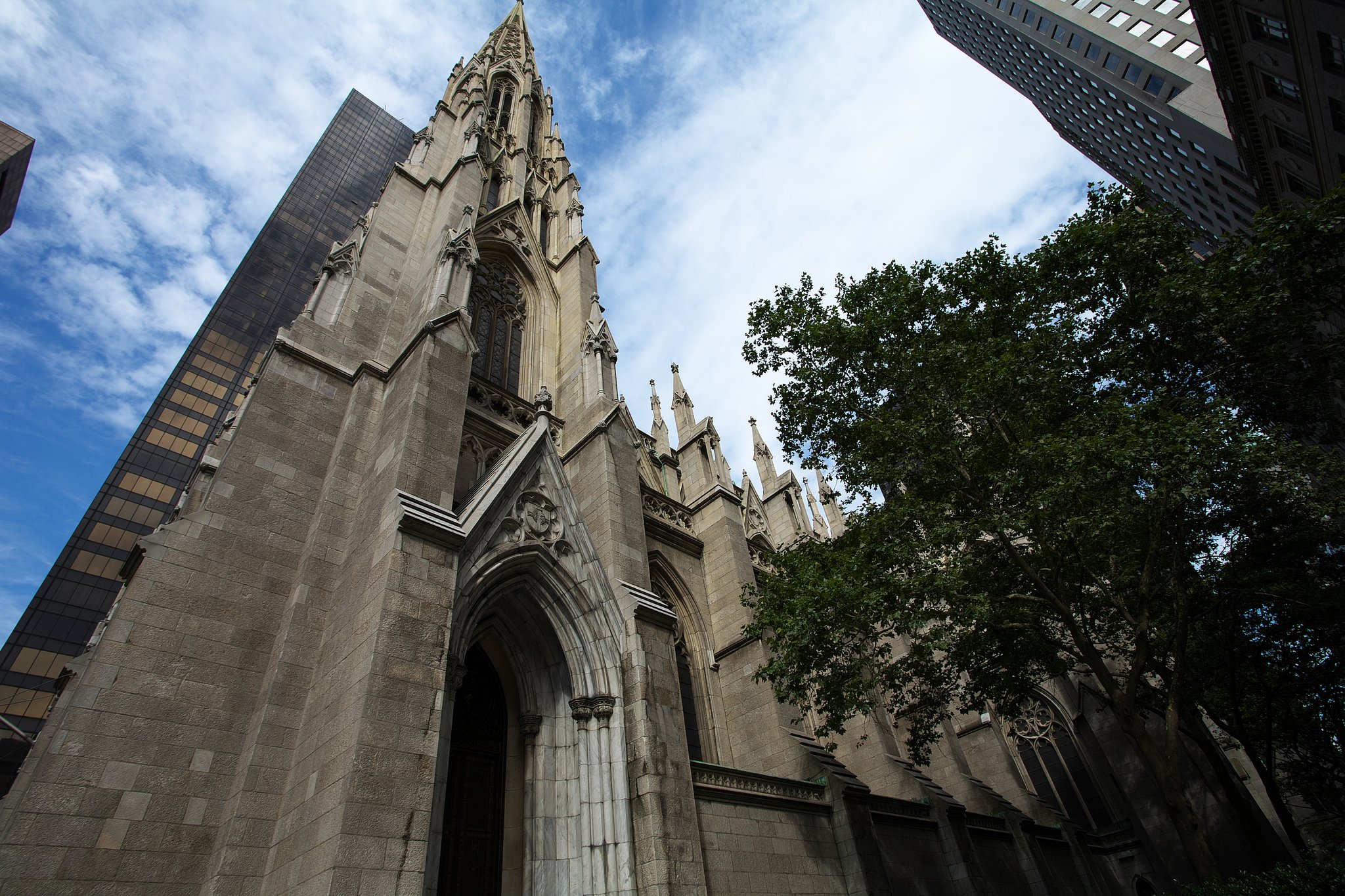NY5