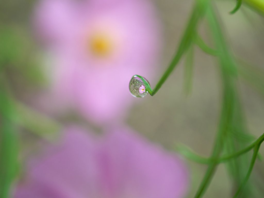 雫3