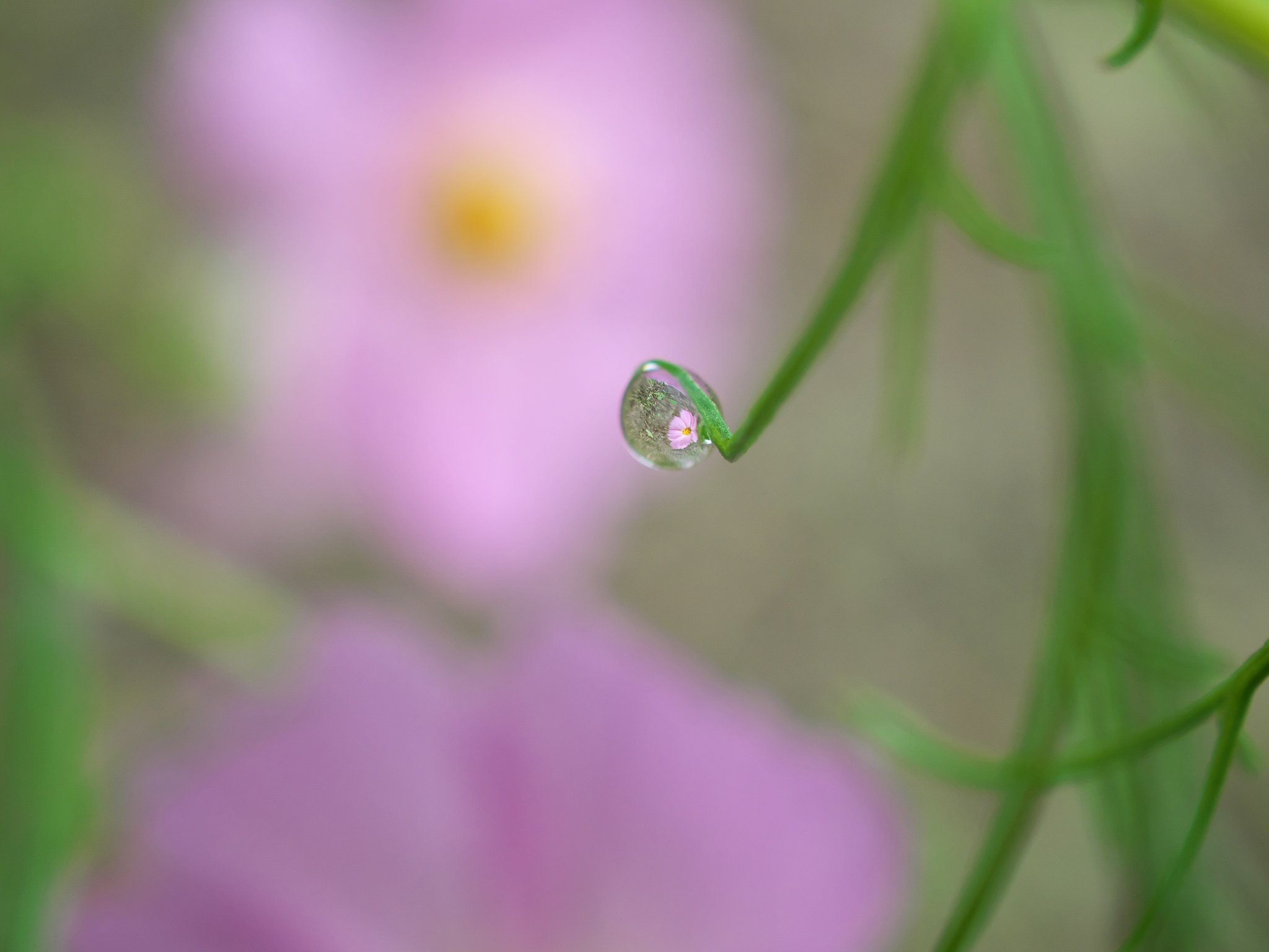 雫3