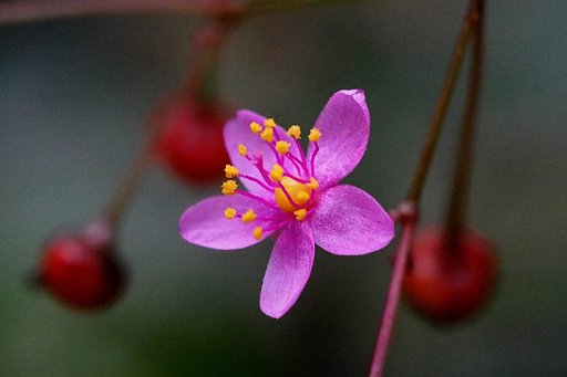 9月11日の写真