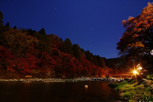 至福の月光浴