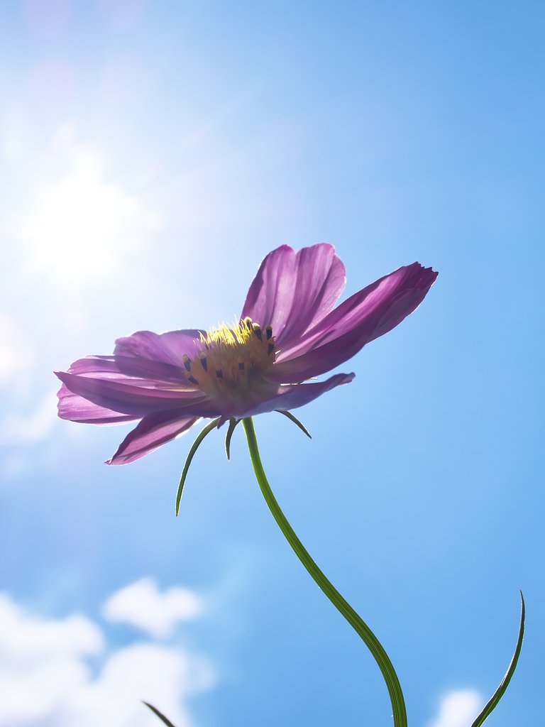 ED 30mm F3.5 Macro
