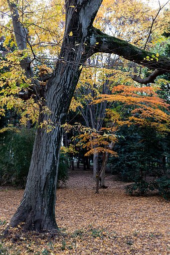 EF24-70mm f/4L IS USM