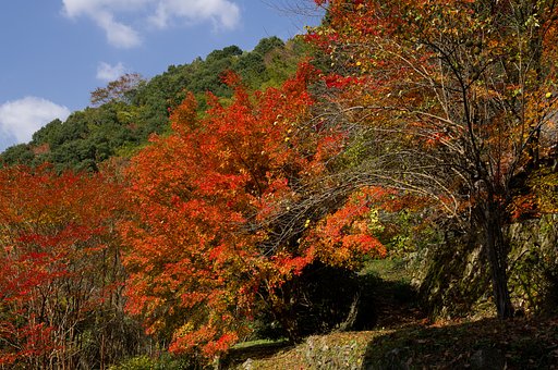 徳地