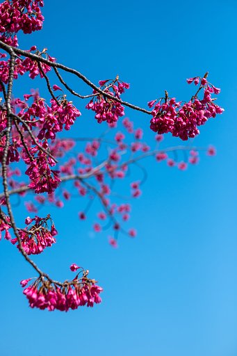 FUJINON XF35mmF1.4 R