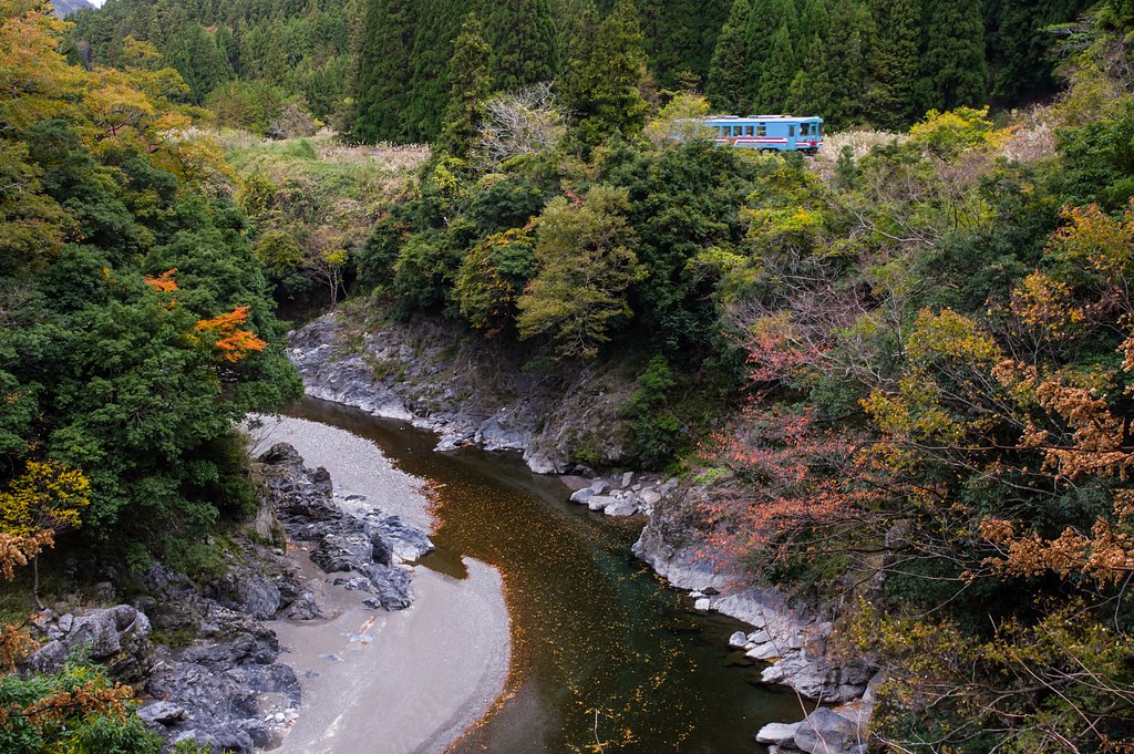 晩秋を駆け抜ける